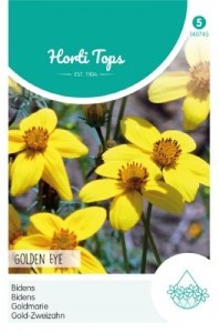 140745 Bidens Humilis Golden Eye_500x500